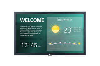 Дисплей LG 22SM3G-B 22SM3G-B